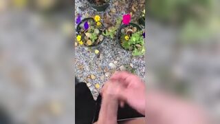 POV Risky Outdoor Pissing & Cumming Compilation all over our Potted Flowers at the Campsite Today Jetsfan1983 - BussyHunter.com