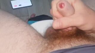 FAP any% Speedrun (5;46) EvilTwinks - SeeBussy.com