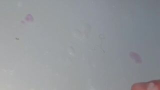 TONS CUM SPURTING OUT MY BIG WHITE MEAT CANNON. I SHOWER YOU WITH MY STICKY WHITE LOVE¡¡¡ EvilTwinks - SeeBussy.com