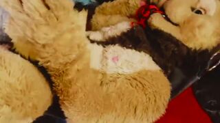LiondogAri Gangbang Pt 2