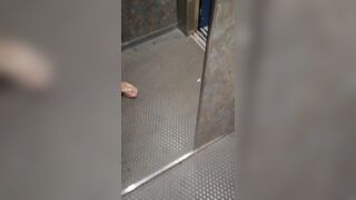 Quick dick flash in the lift. Showing my cock in the hotel elevator. Curved-dick