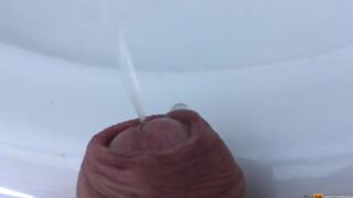 my dick pissing - close up view smellmydick