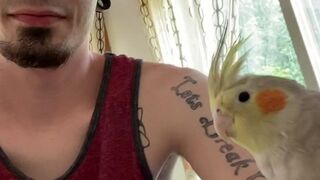gay porn video - Xanderhardy (44)