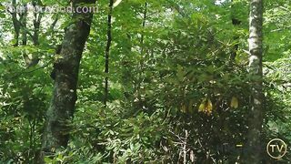 himeros tv caveman sex