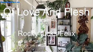 Rocky Unleashed Felix Fox