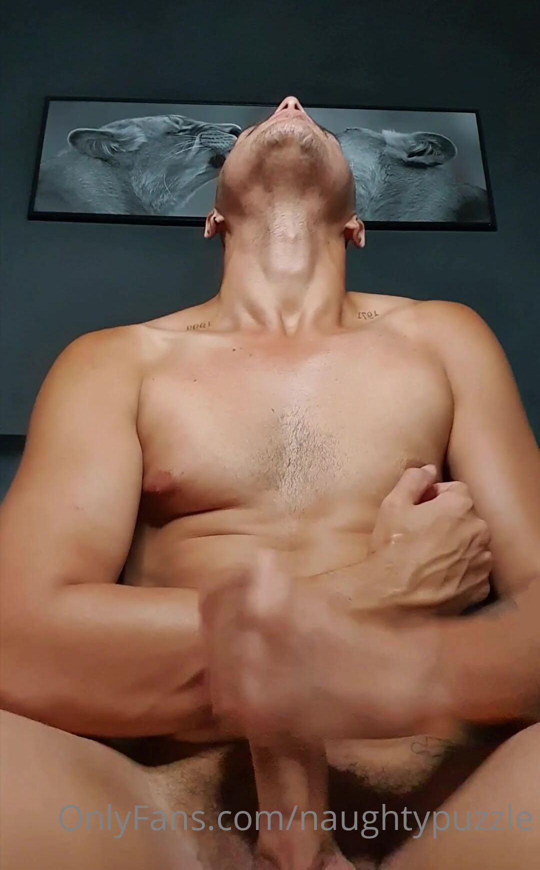 OnlyFans - naughtypuzzle - free gay porn (172)