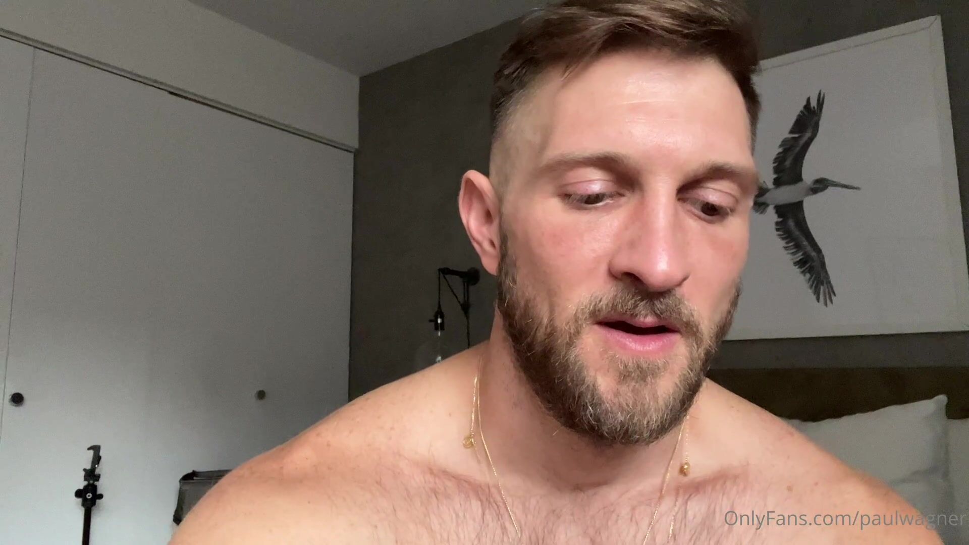 OnlyFans - paulwagner - gay porn video (30)