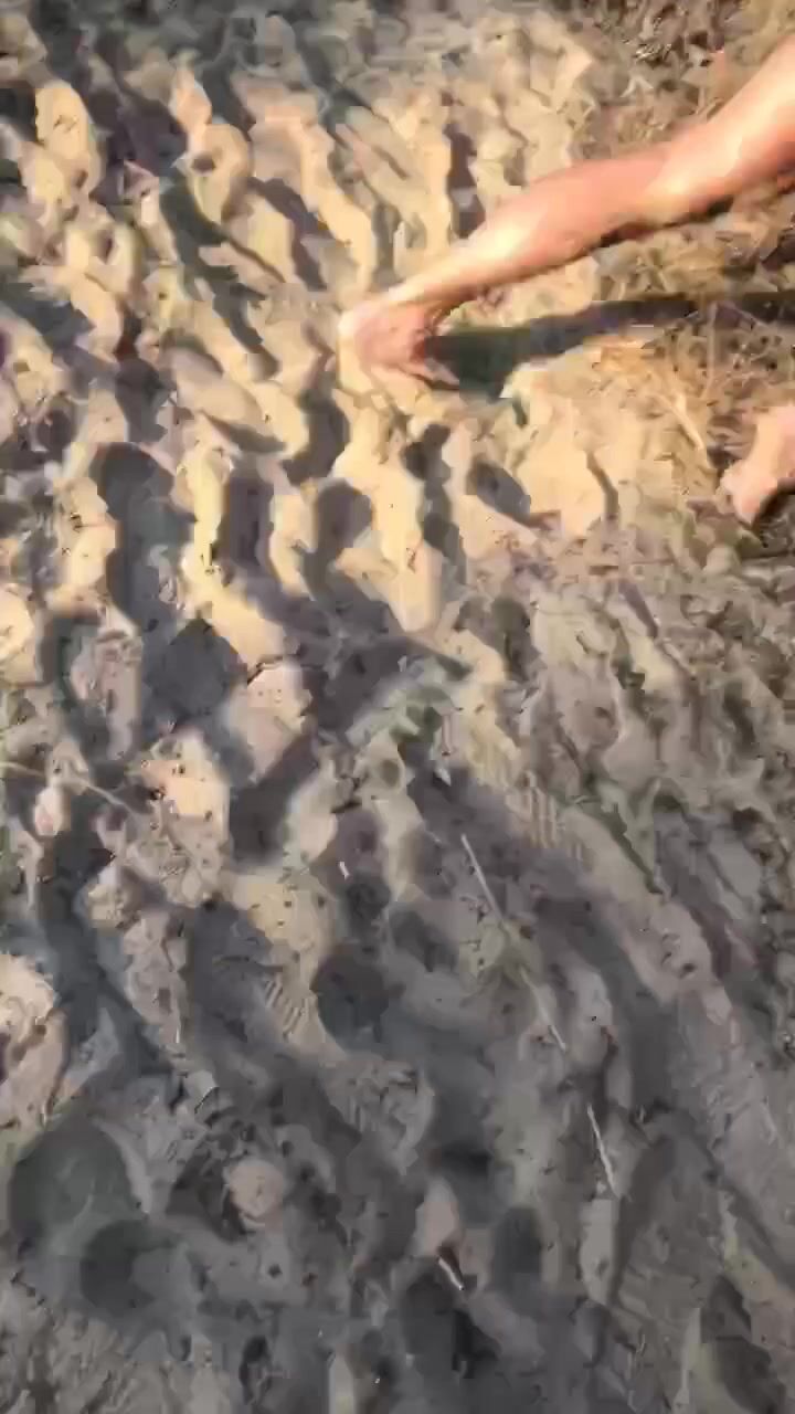 OnlyFans - @Willruas (Gui Ruas)  (199)