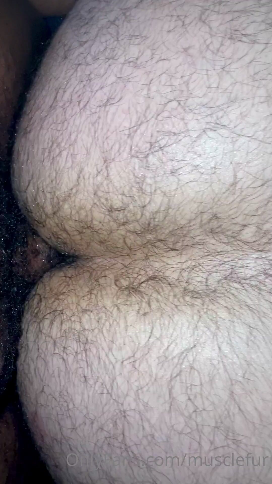 OnlyFans - musclefur - gay porn video (336)