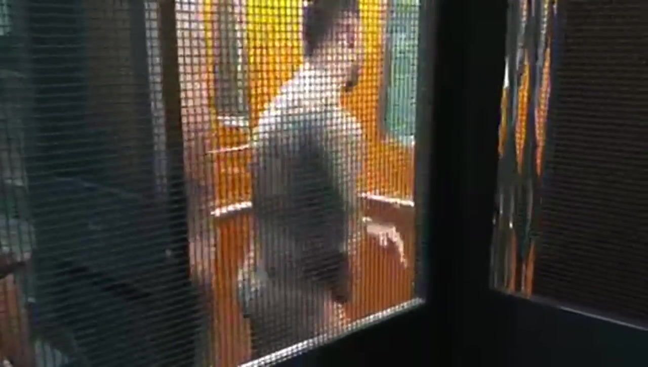RawFuckClub - Fucking in the elevator - free gay porn