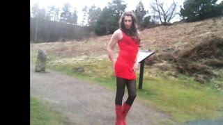 tranny undressing in public3