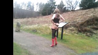 tranny undressing in public3