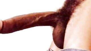 Big Dick Slide Show