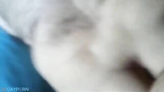 chub bear daddy romp4