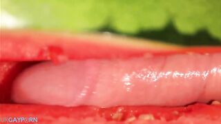 water melon cum fucking a melon and cumming