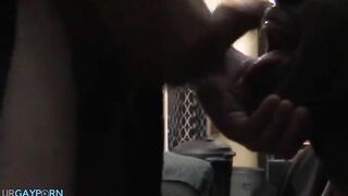 tall black bitch swallows white tops cum3