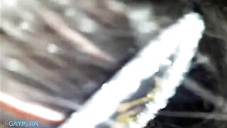 young sissy crossdresser slut sucking big cock deepthroat3
