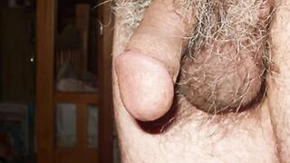 japanese mature man erect penis slide show3