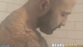 atlas grant shows off that bear body and tugs on his dick