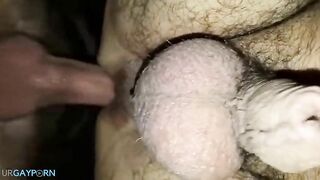 hairy french bareback2