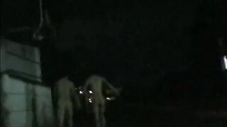 party in japan