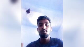 Indian bihar stud
