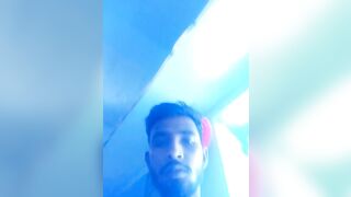 Indian bihar stud
