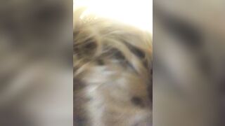 friend wanted another blowing