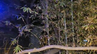 Late Night Fuck in Puerto Vallarta Romeo Davis XL