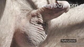 dick pics vol 2 the middle ages skinny guy with small dick nude pic slideshow thepervygnome gay video
