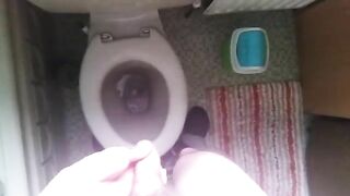 teen pisses in toilet short video peter bony gay video