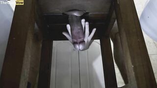 close up milking my big cock under the chair thick cumshot 4k 60fps thecumvow