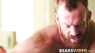 daddy bear brad kalvo eats ginger ass before bareback 2