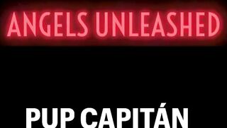Angels Unleashed Ricky   Diego with Pup Capitn