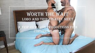 The Wait Has Ended Lobo