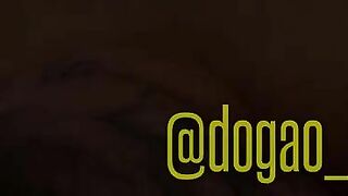 Threesome Dog