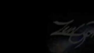 Z E N Full version