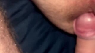 Daddys Pet 2