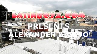 LB Alexander Gato