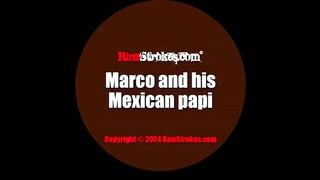 RWS Marco and his Mexican papi