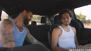 alpha wolfe is on a mission to fuck some random guy