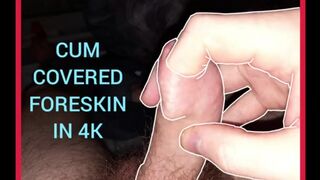 INTENSE FORESKIN AND CUM PLAYING (4K QUALITY) EvilTwinks - Gay Porno Video