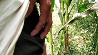 Indian Peshab Porn Video, Desi Bada Lund Desimast - SeeBussy.com