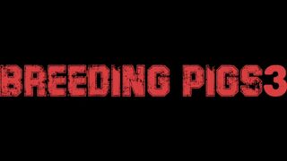BREEDING PIGS 3 PIGBOY - SeeBussy.com