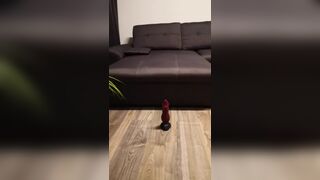 Wolf Riding Bad Dragon Dildo with Huge Cumshot at the end btmwuff - SeeBussy.com