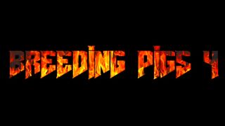 BREEDING PIGS 4 BRAZIL PIGBOY - SeeBussy.com