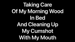 Taking Care of my Morning Wood in Bed while all alone and then Cleaning up my Cumshot with my Mouth Jetsfan1983 - SeeBussy.com
