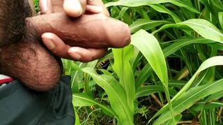 Outdoor Handjob and Cumshot on Grass Desimast - SeeBussy.com