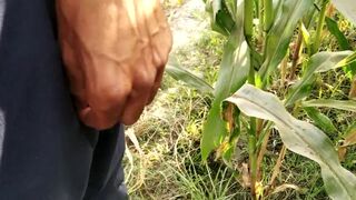 Big Cock Pissing in Corn Field Desimast - SeeBussy.com