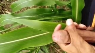 Cumshot Compilation Full Cumming Desimast - SeeBussy.com